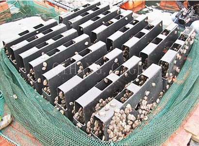 鲍鱼网箱 鲍鱼网箱