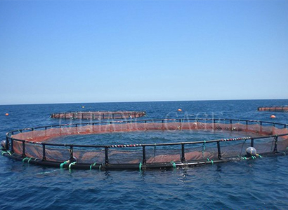 威海选购休闲垂钓网箱价格