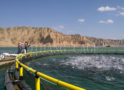 辽宁选购网箱踏板厂家