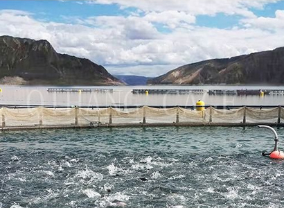 威海选购休闲垂钓网箱价格