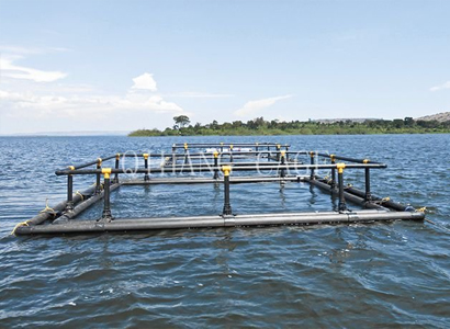 枣庄优质养鱼网箱厂家