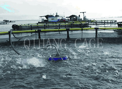 济宁选购休闲垂钓平台厂家