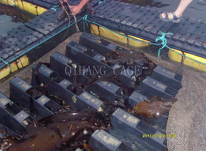 枣庄购买PE网箱生产商