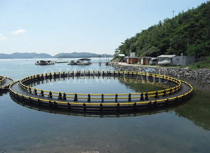 辽宁选购水上休闲平台厂家