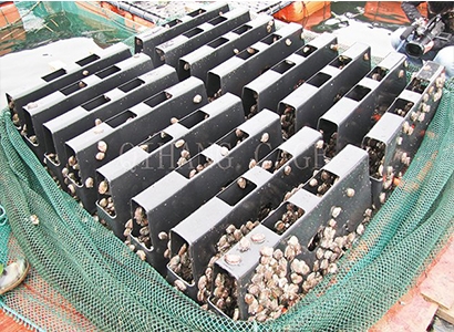 养殖网箱 养殖网箱