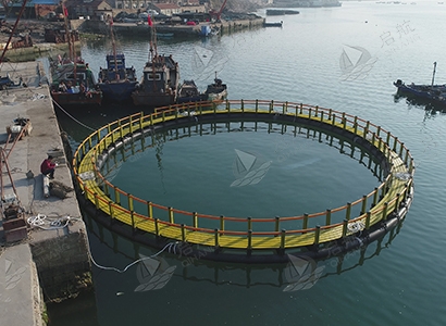 海洋网箱 海洋网箱